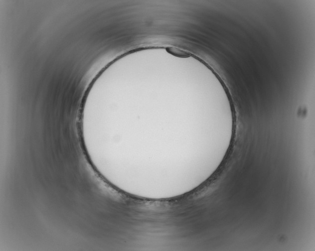 X0000112080901200909151110