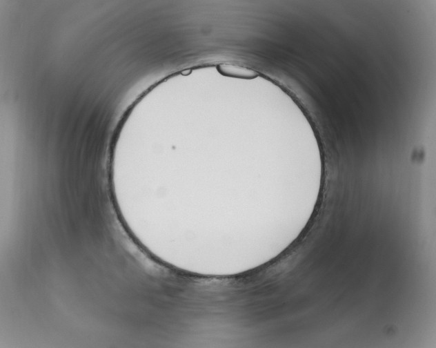 X0000112080902200909151110