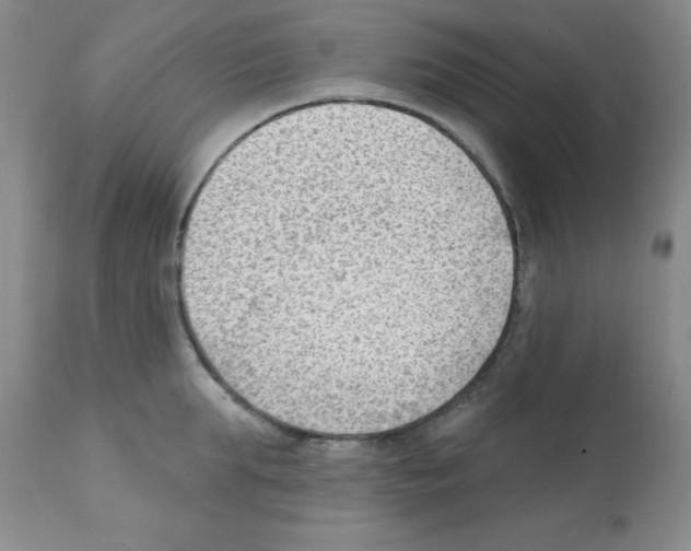 X0000112080903200909151110
