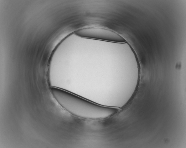 X0000112080909200909151110