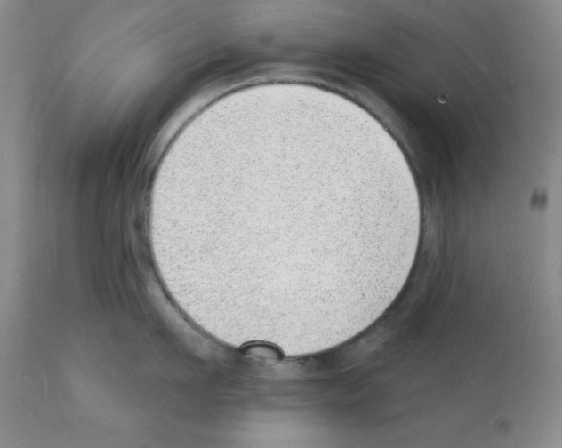 X0000112080911200909151110