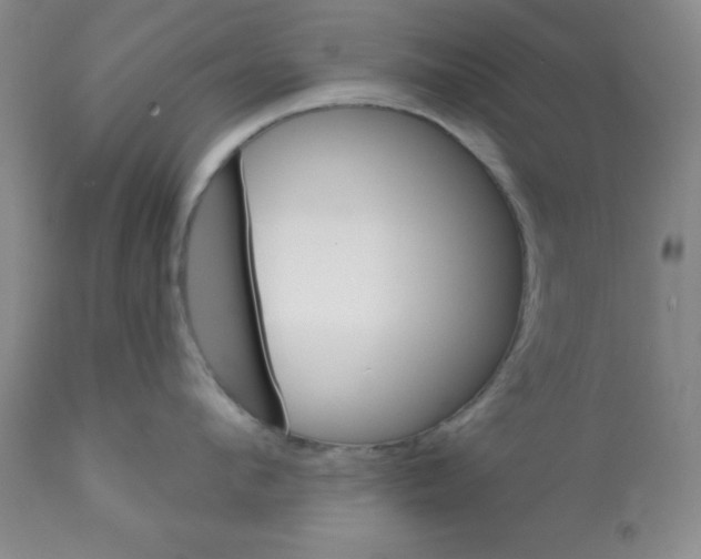 X0000112080912200909151110