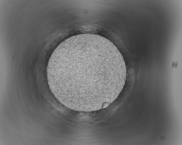 X0000112080913200909151109