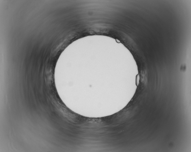 X0000112080915200909151109
