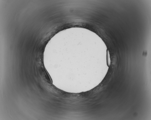 X0000112080916200909151109
