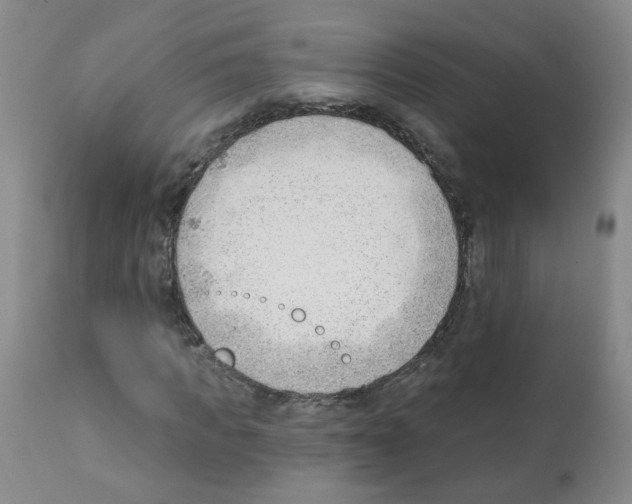 X0000112080917200909151109