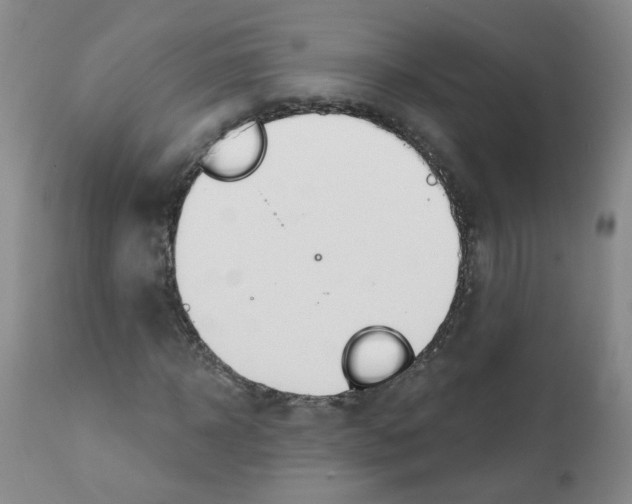 X0000112080918200909151109