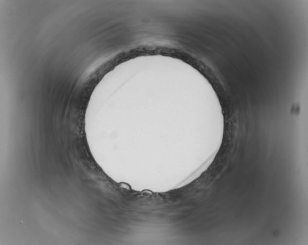 X0000112080919200909151109