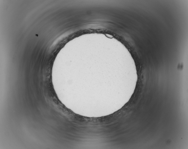 X0000112080920200909151109