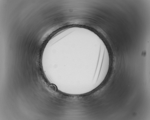 X0000112080922200909151109