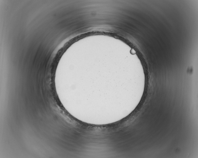 X0000112080923200909151109