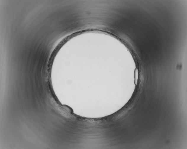 X0000112080924200909151109