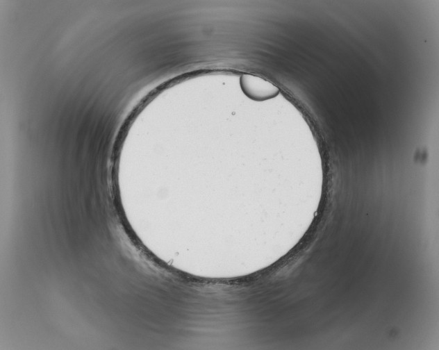 X0000112080932200909151109