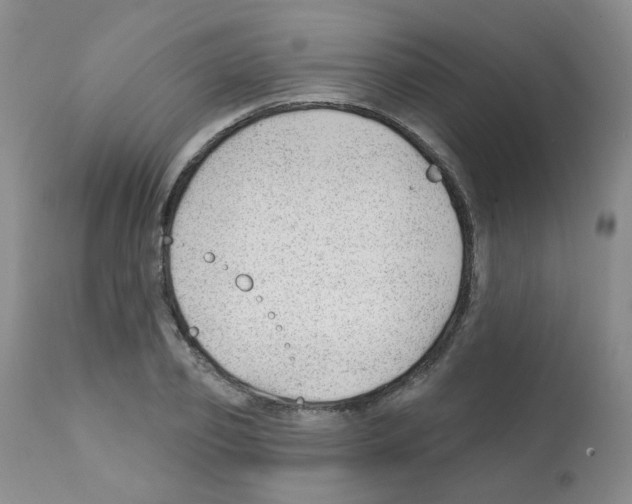 X0000112080933200909151109