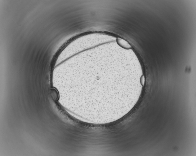 X0000112080934200909151109
