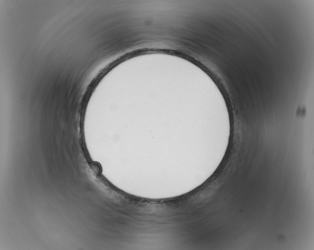 X0000112080935200909151109