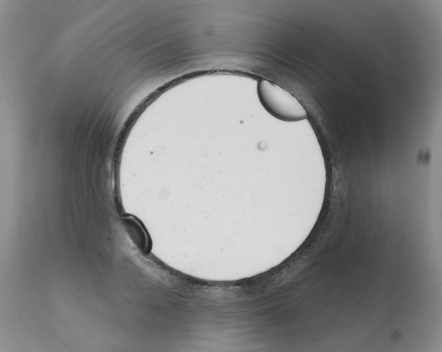X0000112080936200909151109