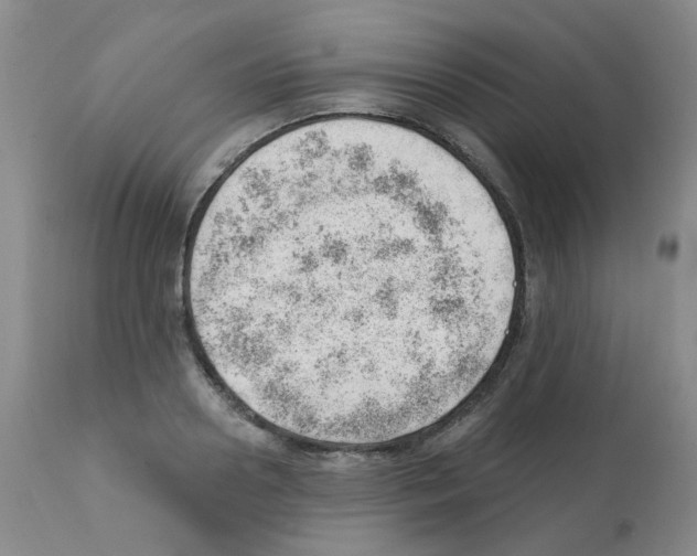 X0000112080938200909151109