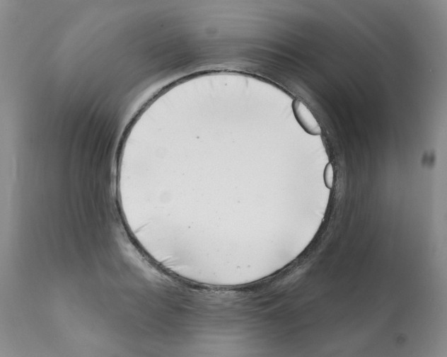 X0000112080940200909151109