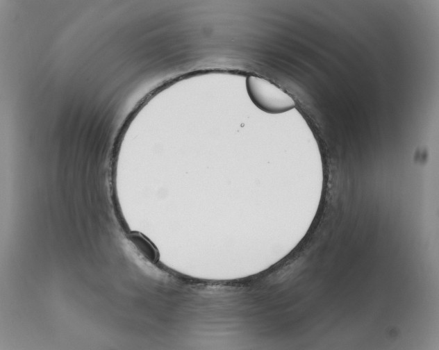 X0000112080942200909151109