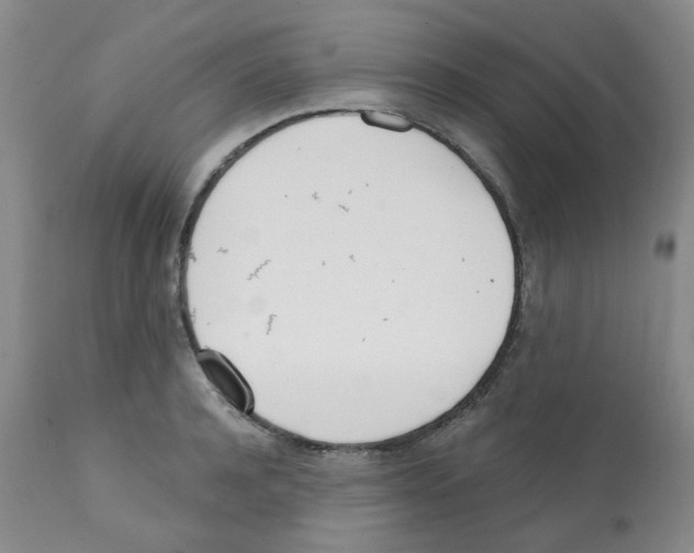 X0000112080944200909151109