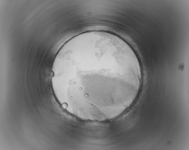X0000112080945200909151109