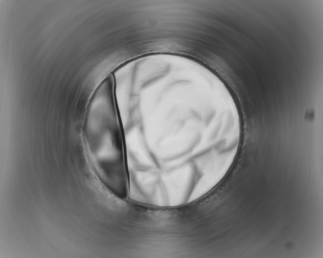 X0000112080946200909151109