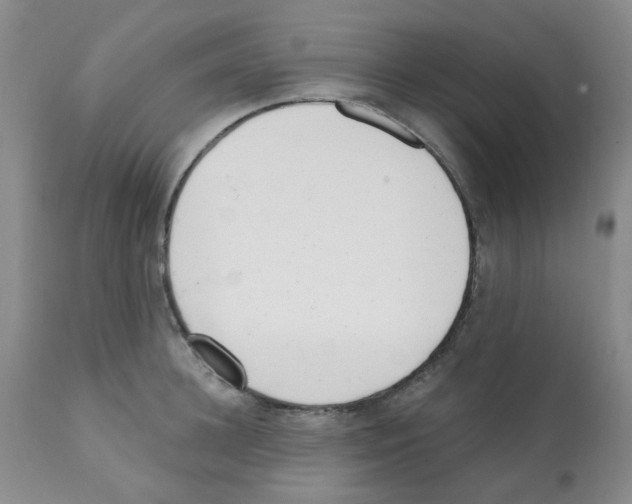 X0000112080948200909151109