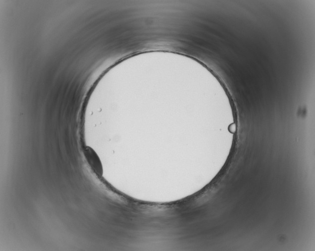X0000112080949200909151110