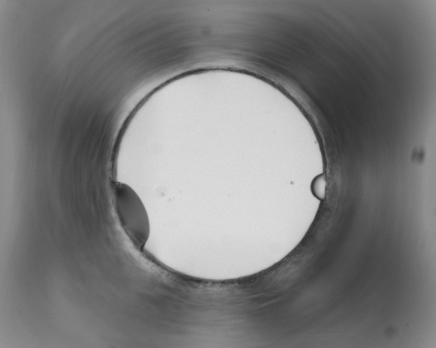 X0000112080951200909151110
