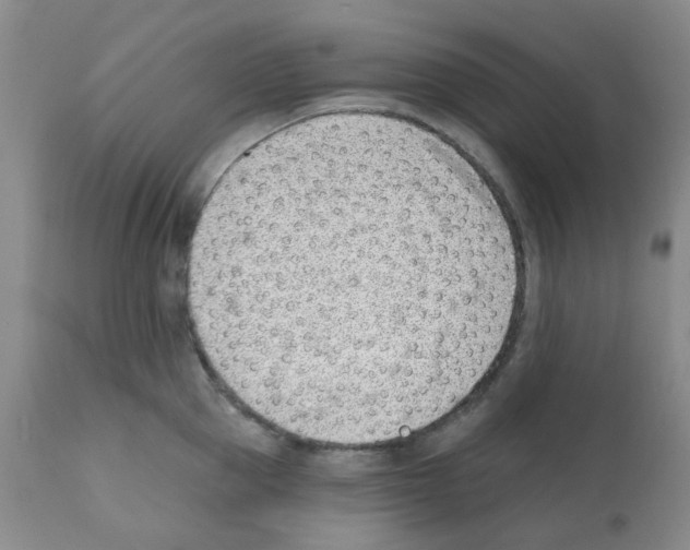 X0000112080953200909151110