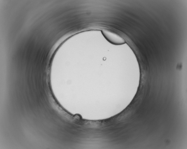 X0000112080955200909151110