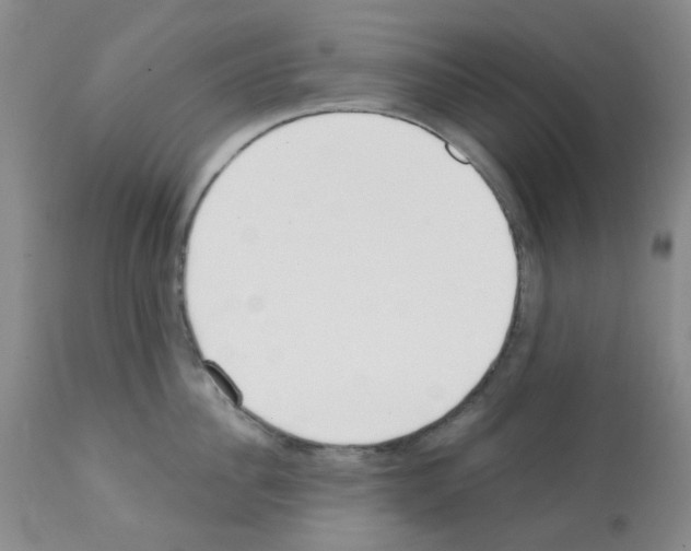 X0000112080956200909151110