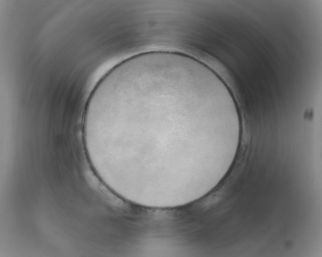 X0000112080958200909151110