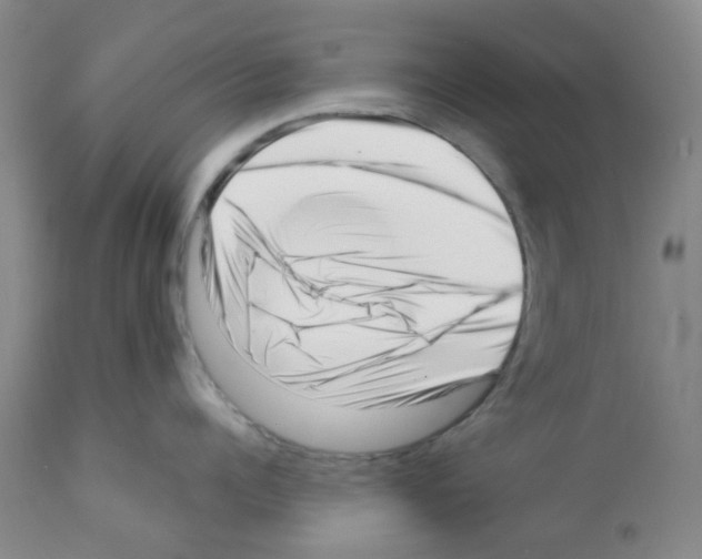 X0000112080960200909151110