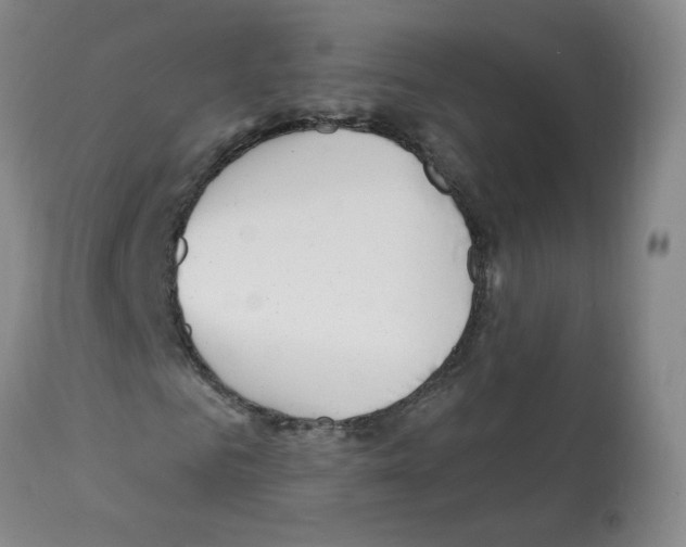 X0000112080961200909151109