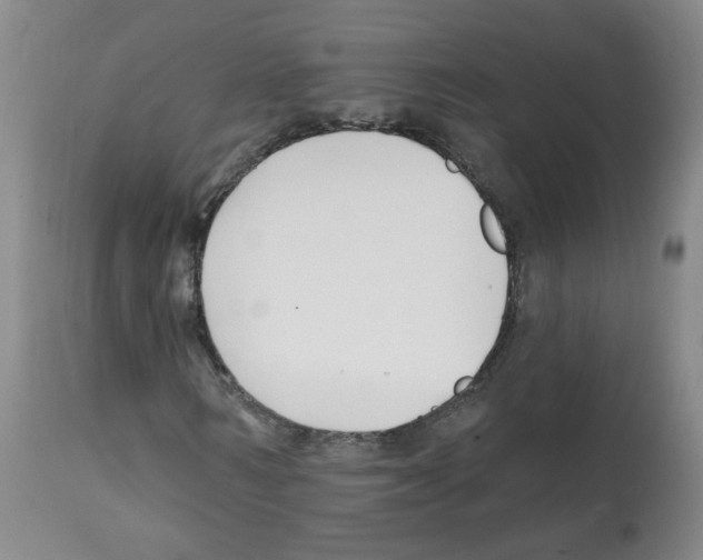 X0000112080962200909151109