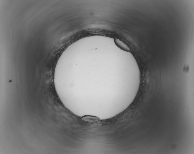 X0000112080965200909151109