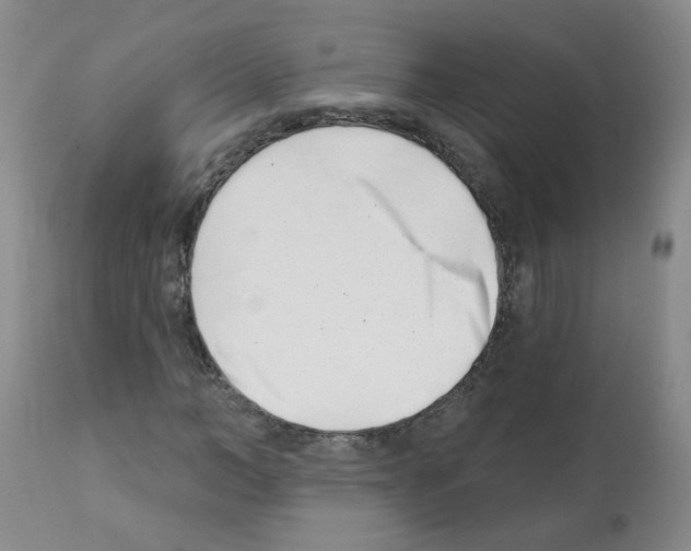 X0000112080966200909151109