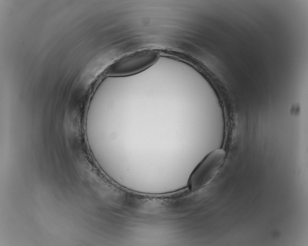 X0000112080969200909151109