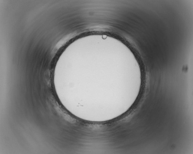 X0000112080970200909151109