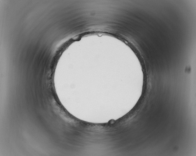 X0000112080971200909151109