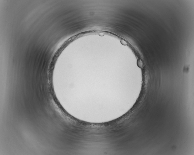 X0000112080972200909151109