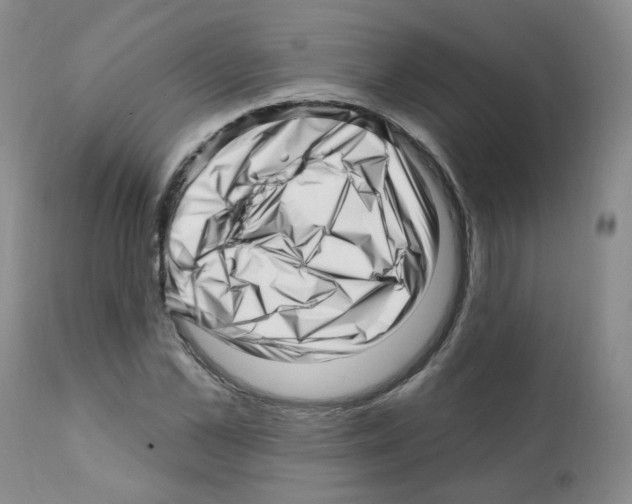 X0000112080973200909151109