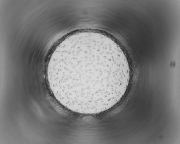 X0000112080974200909151109