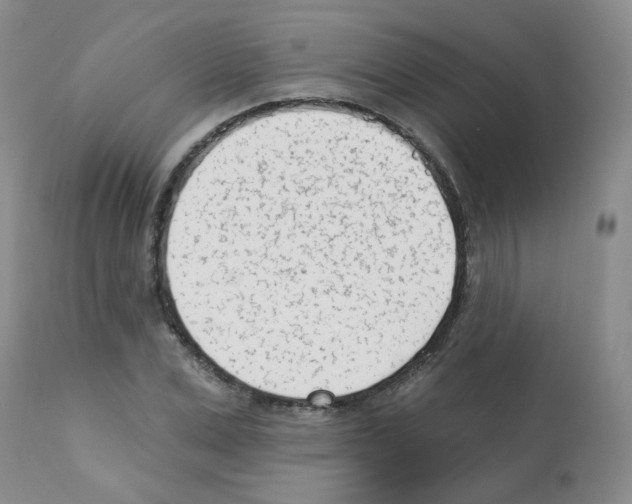 X0000112080975200909151109