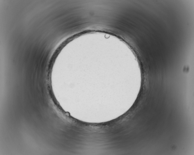 X0000112080976200909151109