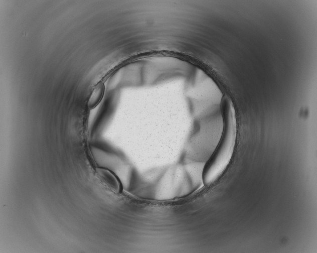 X0000112080977200909151109