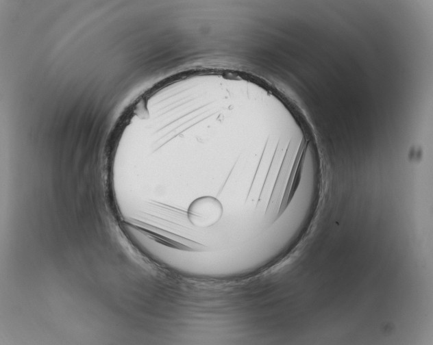 X0000112080981200909151109