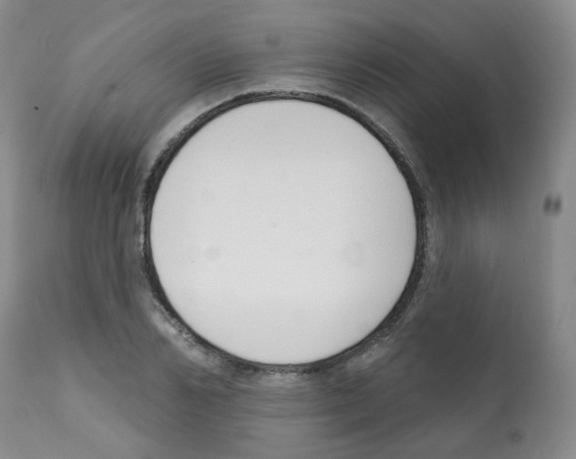 X0000112080982200909151109